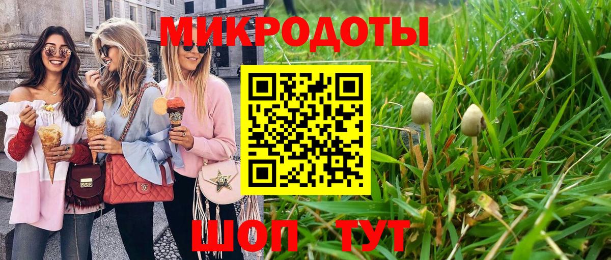 Павловский Посад  Псилоцибиновые грибы мицелий  Вход с VPN 