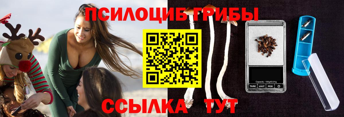 Галлюциногенные грибы MAGIC MUSHROOMS Павловский Посад